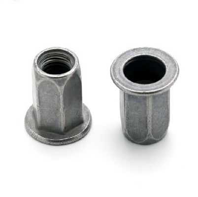 Geel zink koolstofstaal M6 plat rond hoofd half hex rivet moer voor binnen- en buiten