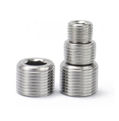 Plain Finish Hexagon Socket Pipe Plugs DIN906 voor bouw- en bouwprojecten