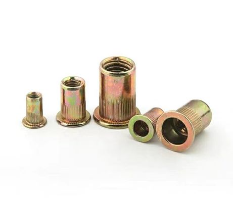 M8 M10 Blinde nietsnoot voor bevestiging van M2-M12 Q235A2-70 A4-80 Vervaardiging