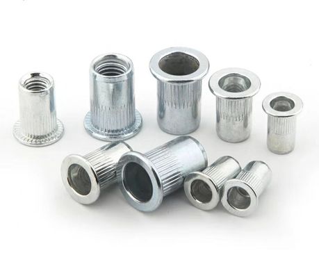 M8 M10 Blinde nietsnoot voor bevestiging van M2-M12 Q235A2-70 A4-80 Vervaardiging