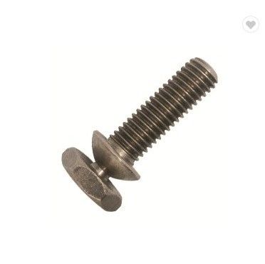 Klasse 4.8/8.8 High Security Shear Bolt met koppel type voor de industrie