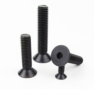 Zwarte afwerking DIN 7991 Countersunk Hexagon Socket Bolt met klantvereisten