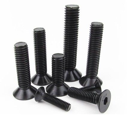Zwarte afwerking DIN 7991 Countersunk Hexagon Socket Bolt met klantvereisten