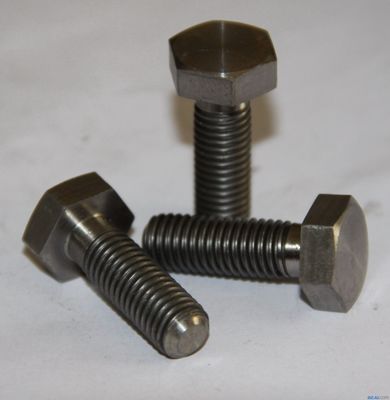 Roestvrij staal hoge sterkte zeshoekige moer gegalvaniseerd en fundering Hex Head Bolt Fastener DIN931